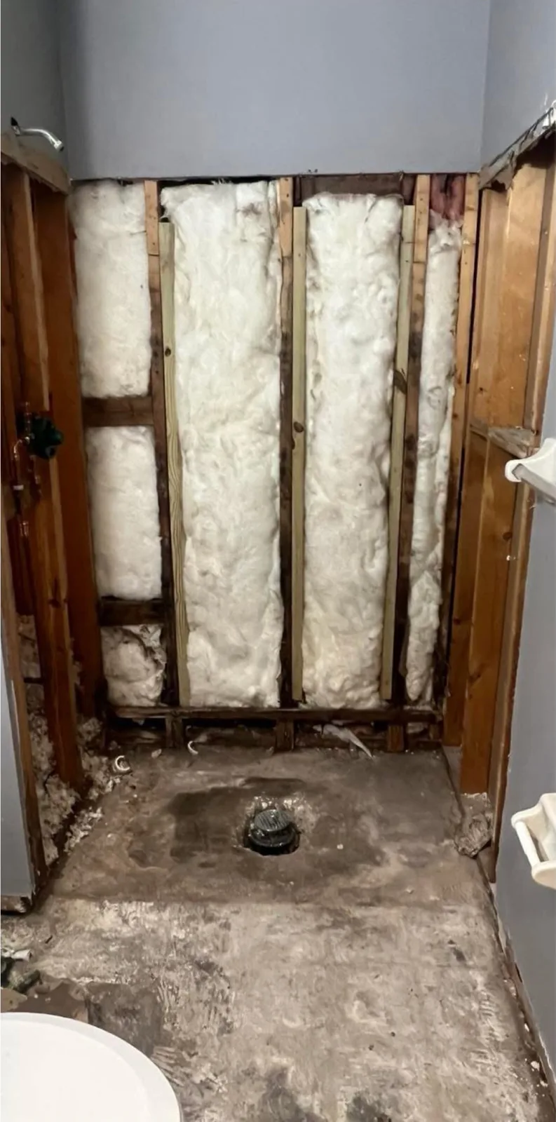 The same view before — a stripped bathroom down to the studs